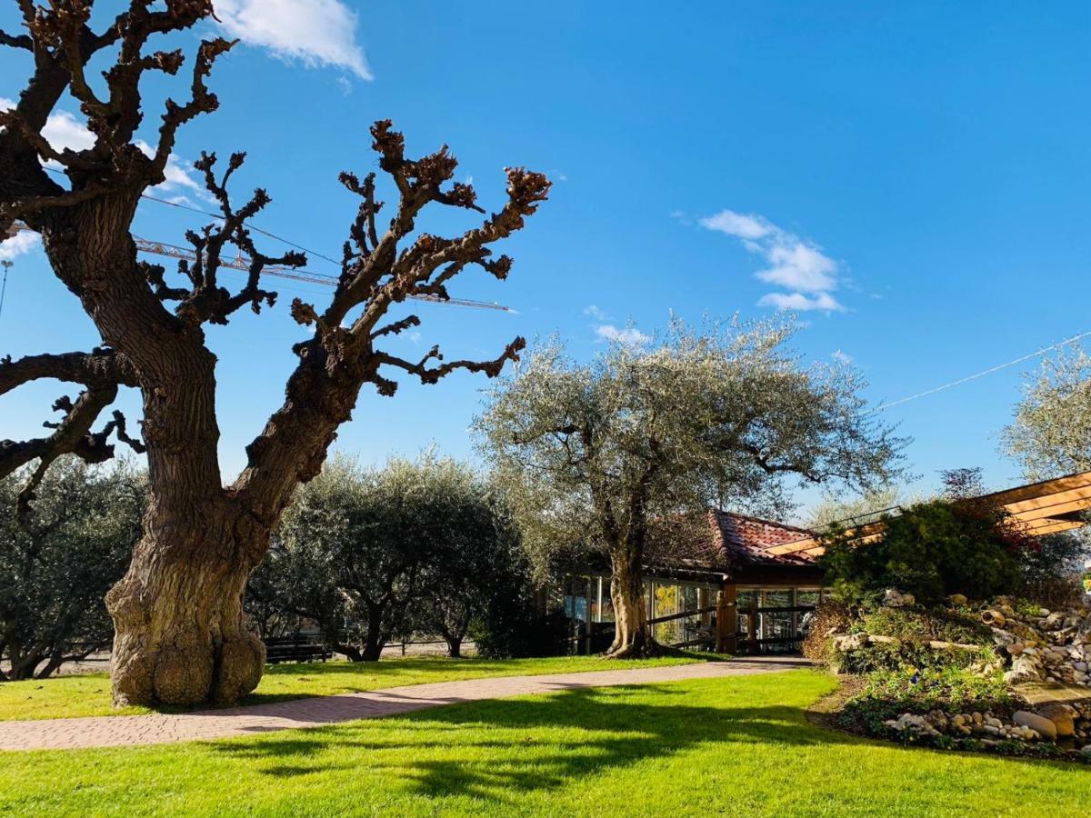 Agriturismo Le Tese Colà Екстериор снимка