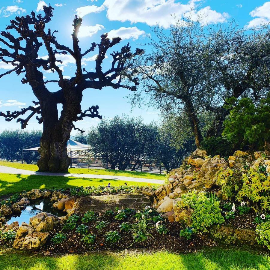 Agriturismo Le Tese Colà Екстериор снимка